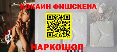 мдпв Камышлов