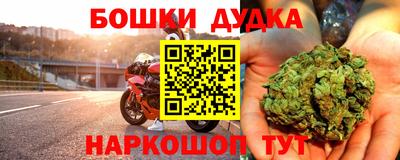 мдпв Камышлов