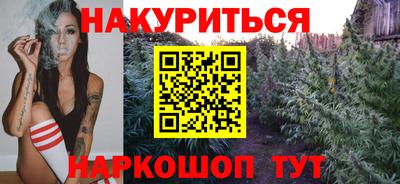 мдпв Камышлов