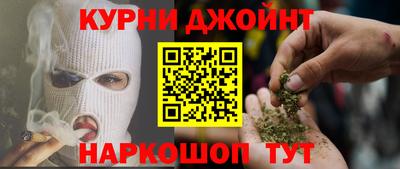 мдпв Камышлов
