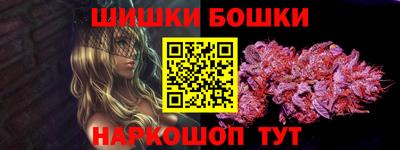 мдпв Камышлов