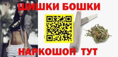 мдпв Камышлов