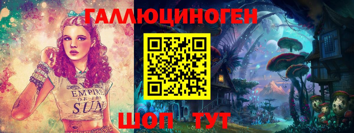даркнет сайт  Вход с VPN  Кудрово  Галлюциногенные грибы GOLDEN TEACHER 