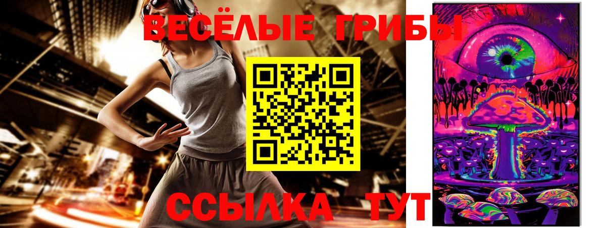 Галлюциногенные грибы Psilocybine cubensis Кудрово